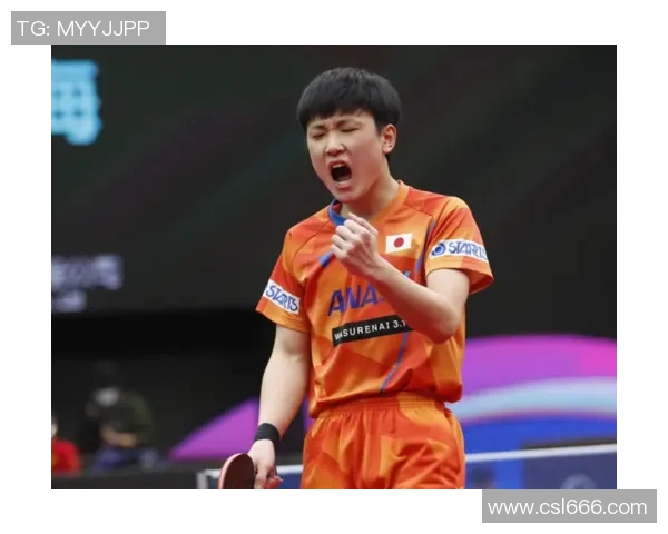 深圳乒乓球队阵地战革新探索与实践的深度分析与展望