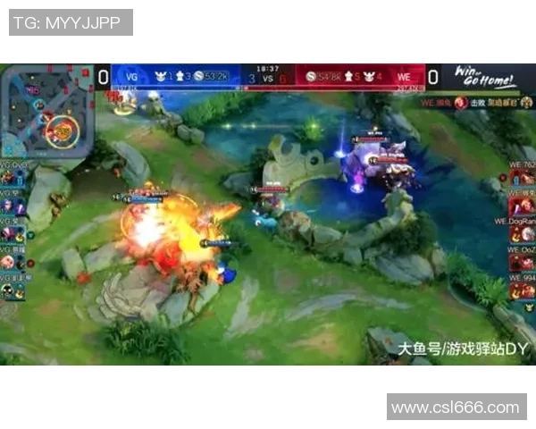 王者荣耀热议:WE战队耐力问题引发的争论与思考