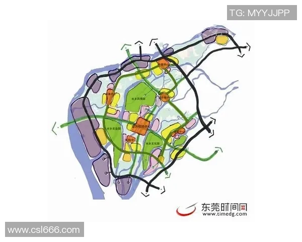 广州排球队战术解析与发展策略探讨之路