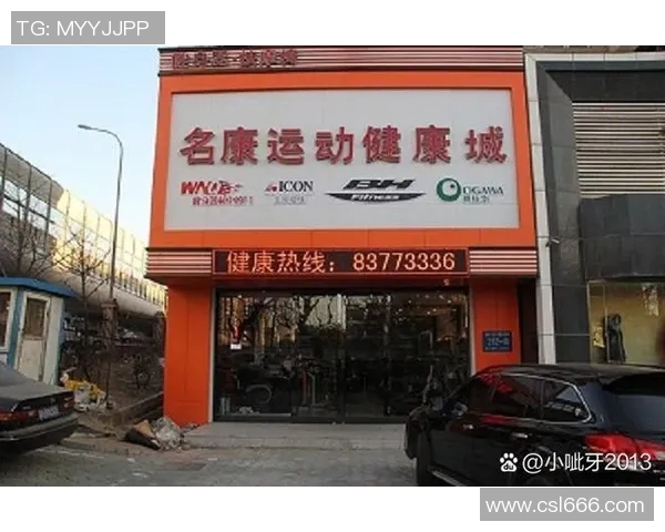 河西地区健身器材商店分布及推荐品牌一览