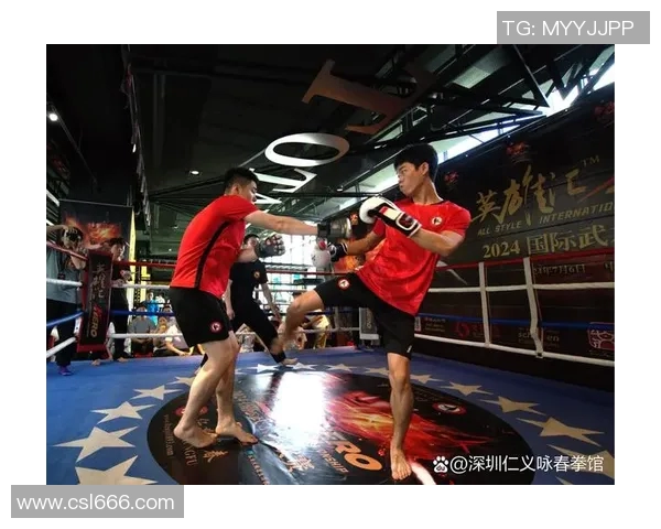 武术传承与创新：探讨传统武术与现代搏击技巧的融合与发展